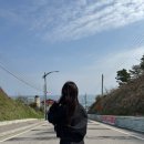 묵호주공~어달간 | 묵호 여행 첫날, 어달삼거리에서 바다뷰 찍고 온 솔직 후기