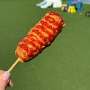 타이어프로 칠곡점 | 칠곡애견카페 메종드댕댕 겨울에도 야외운동장에서 뛰뛰하기 좋아요