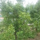 지은농장 이미지