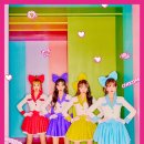 쪼꼬미네 이미지