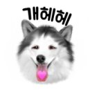 여주-0853 이미지