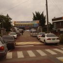 금란초교 이미지