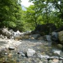 개나리온천 이미지