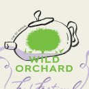 제주 와일드 이미지