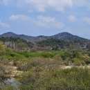 창녕 우포늪 이미지