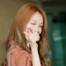 팡팡서비스
