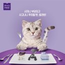 렌탈입니다