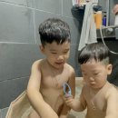 도연약국 이미지