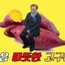 삼시한끼고구마 이미지