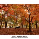 이동원의 가을 편지 이미지