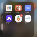 순애의집 | 순애하멍 펫시팅 후기( 생애 첫 펫시터 고용)