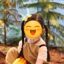 고마워 토토 미사 신도시점(내돈내산, 지난주 체험 사진 받은 후기/ 모내기 체험)