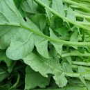 장화농장 이미지