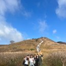 산아리 이미지
