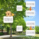 뽀더독(FORTHEDOG) 이미지