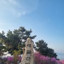 제350차 한뫼산악회 4월 정기산행(대금산) 이미지