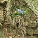 머리풍경 이미지