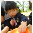 민철농장 Daum카페