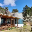 개화펜션 이미지