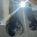 헤어박사 | 서면 전포 하이레이어드 컷 C컬펌 | 어치브헤어 유나 실장님 퍼스널 헤어 컨설팅 후기