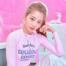 비둘기모사 이미지