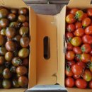 태규농장 이미지