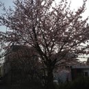 미소가있는약국 이미지