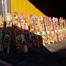 (주)내팜