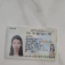 평택경찰서 | 운전면허증(2종보통) 갱신 가족 대리인 수령 후기(feat.평택경찰서)