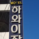 하와이장 이미지