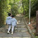 제주 사라봉 일제동굴진지 | 제주 아이와 가볍게 오르기 좋은 사라봉 (주차장정보)