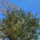 외삼1통경로당 이미지