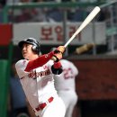 김강민 카카오 검색결과