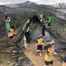 신솔정유치원 이미지