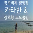 장호비치캠핑장 | 삼척 장호비치캠핑장 카라반 후기｜장호항 스노쿨링 가능한 바다 앞 캠핑장