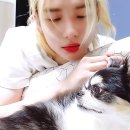 현진(HYUNJIN) 이미지