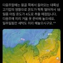 황금붕어빵 이미지