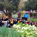 개흥초등학교 이미지