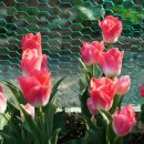 성원탑마트 이미지