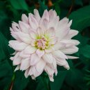 산성대로476번길 이미지