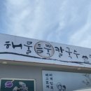 해물을품은칼국수