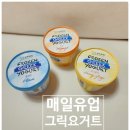 포유그릭요거트아이스크림 | 여름 간식 추천｜상하목장 프로즌 그릭요거트 아이스크림 3종 후기