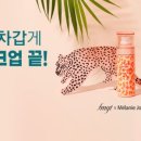 네이처컬렉션대전