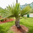 요즘자취필수템 이미지