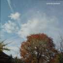 송림관광농원