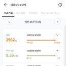 제이미니