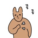 스터디마인 이미지