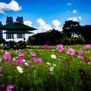 태화강국가정원 이미지