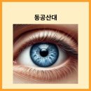 청도 금천 비소 10 | 四字成語 총정리 <ㄷ> 355 동고지환~동공폐색
