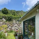 구담포레스트 이미지